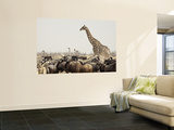 A Lone Giraffe Stands Tall at a Waterhole, Etosha National Park, Namibia, Africa