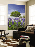 Buy Texas Bluebonnets and Oak Tree, Texas, USA at AllPosters.com