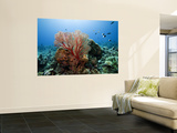 Buy Underwater Reef at AllPosters.com