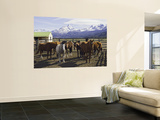 Horses in Corral at Estancia Cristina, Lago Argentino