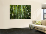 Buy Bamboo Forest, Arashiyama-Sagano District at AllPosters.com