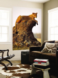 Lioness (Panthera Leo) Watching Surroundings from Termite Mound