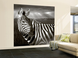 Black & White of Zebra and Plain, Kenya