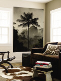 Buy Western Slope of the Andes, San Isidro, Ecuador at AllPosters.com