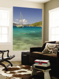 Snorkelers in Idyllic Cove, Norman Island, Bvi