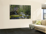 Buy Watermill By Stream in Forest, Roaring Fork, Great Smoky Mountains National Park, Tennessee, USA at AllPosters.com