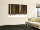 Buy Trees in Winter at AllPosters.com