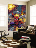 Amazing Spider-Man #526 Cover: Spider-Man