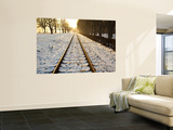 Train Tracks in Snow in Winter Wall Mural