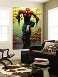 Ultimate Spider-Man #72 Cover: Spider-Man