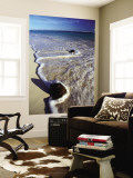 Buy Coconut Washed Up on Beach, Bavaro at AllPosters.com