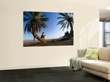 Buy Tourist Reading Book While Sitting on Palm Tree Trunk on Beach, Sinai, Red Sea at AllPosters.com
