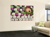Buy Vegetable Display at Yoyogi Park Agricultural Festival at AllPosters.com