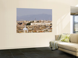 Trastevere District from Janiculum Hill