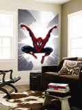 Buy The Amazing Spider-Man #552 Cover: Spider-Man at AllPosters.com