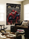 Buy The Amazing Spider-Man #553 Cover: Spider-Man at AllPosters.com