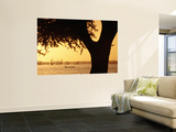 Buy Silhouetted Tree with Fisherman in Canoe on Lake in Background at AllPosters.com