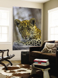 Buy African Leopard (Panthera Pardus) on Log at AllPosters.com