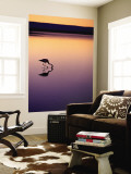 Buy Flamingo Silhouetted at Sunset in Laguna Chaxa at AllPosters.com