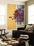Bougainvillea Adorning Colonial Window