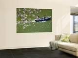 Rowing Along Cherry Blossom-Lined Chidorigafuchi