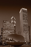 Buy Chicagos Millennium Park BW at AllPosters.com