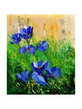 Buy Crocuses at AllPosters.com