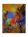Buy Autumn Colors at AllPosters.com