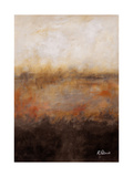 Buy Sepia Wetlands at AllPosters.com