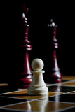 Buy Chess Pieces at AllPosters.com