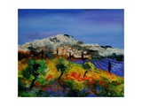 Buy Provence 569010 at AllPosters.com
