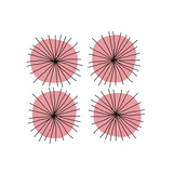 Mitosis Two