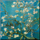 Buy Almond Branches in Bloom, San Remy, c.1890 at AllPosters.com