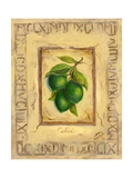 Buy Italian Fruit Limes at AllPosters.com