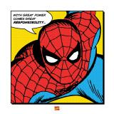 Spider-Man: With Great Power Kunstdruck