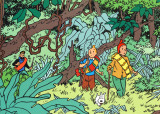 Tintin in the Jungle