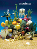 Buy Under the Sea Foodscapes at AllPosters.com