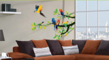 Parrots