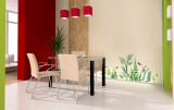 Buy Ferns at AllPosters.com