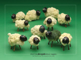 Buy Sheep Foodscapes at AllPosters.com