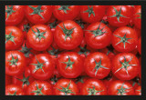 Buy Gastronomy - Tomatoes at AllPosters.com