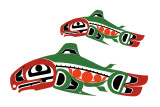 New salmon