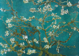 Van Gogh - Almond Blossom