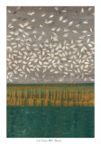 Buy Shimmer at AllPosters.com