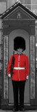 Buckingham Palace Guard - London