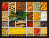 Buy Gastronomy - Spices at AllPosters.com