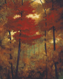 Buy Autumn Woods at AllPosters.com