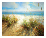Across the Dunes