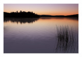 Breaking Dawn