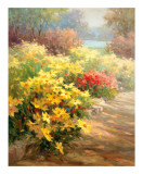 The Lake Path